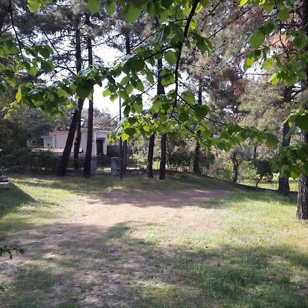 Villa Leo Glykadi Ngoại thất bức ảnh